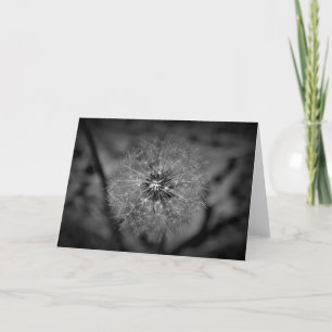 Dandelion - Noir, carte