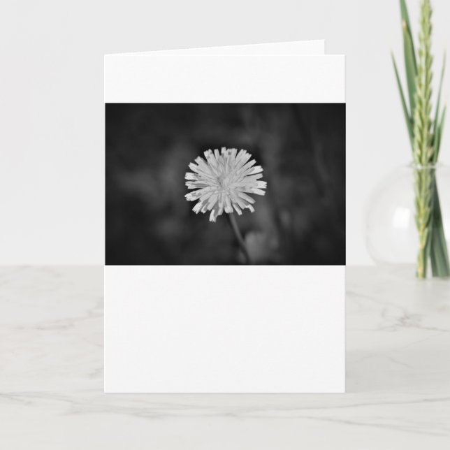 Dandelion / Noir, carte (Devant)