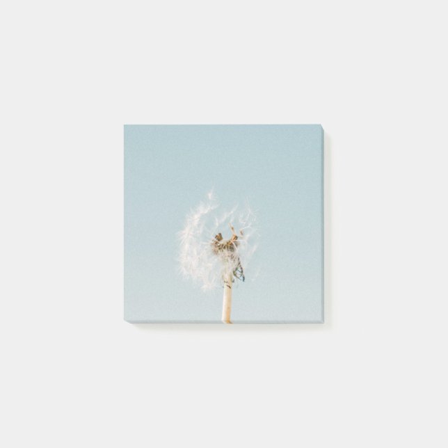 Dandelion Post-It (Devant)