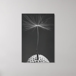 Dandelion Seed Photo sur toile