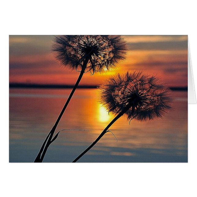 Dandelions (Devant horizontal)