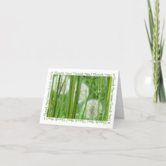 Dandelions dans le Merci vert de l'herbe
