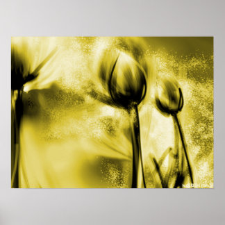 Dandelions rétroéclairés dans une affiche antique