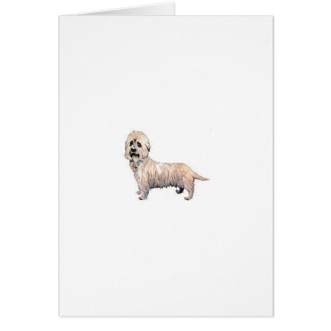 Dandie Dinmont Terrier (Devant)