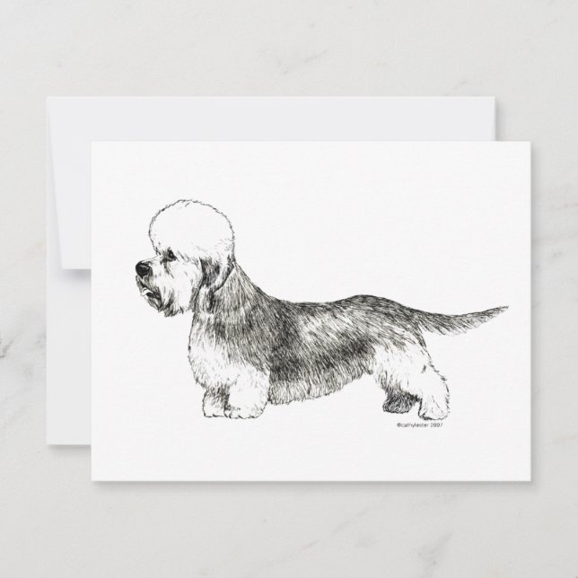 Dandie Dinmont Terrier (Devant)