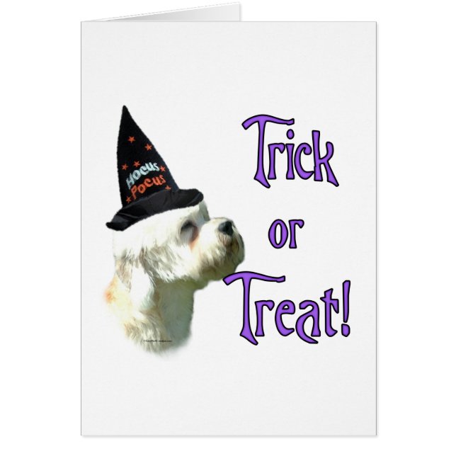 Dandie Dinmont Terrier Trick (Devant)