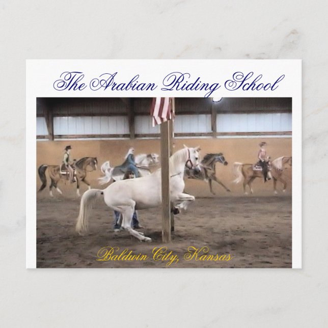 Dandy, carte postale Levade (Devant)