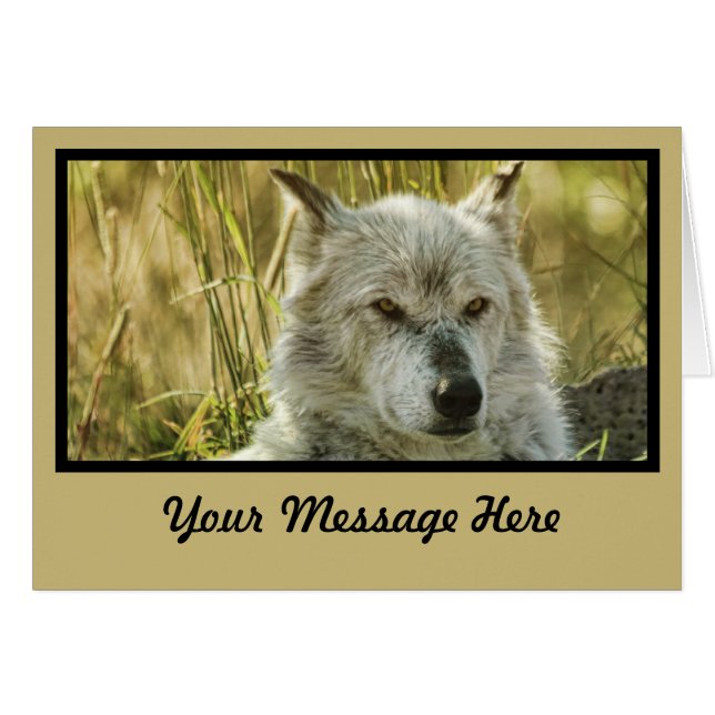 Dangereusement calme en bronzage (Devant horizontal)