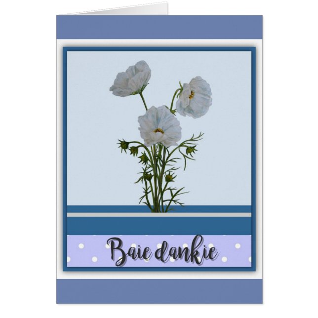 Dankie de Baie (Devant)