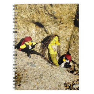 Danni le Carnet de sirène