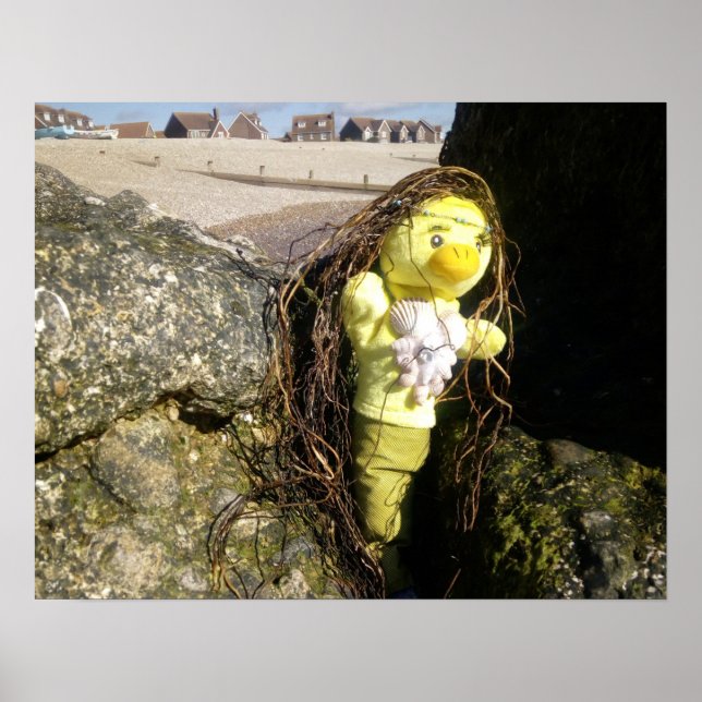 Danni the Mermaid  Poster (Devant)