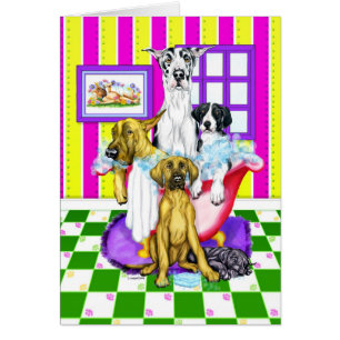 Danois-R-nous carte de baquet de great dane pleine