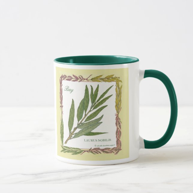 Dans la tasse de feuille de laurier de ~ de jardin (Droite)