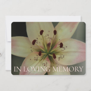 Dans l'amour Mémoire rose Lily Invitation
