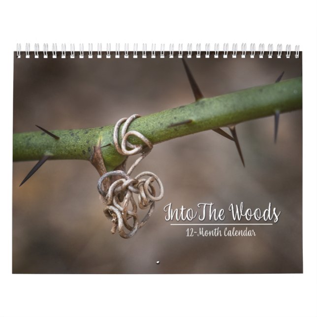 Dans Le Calendrier Des Bois De 12 Mois (Protection)