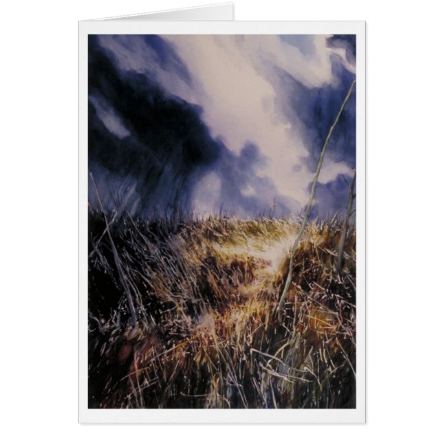 Dans le champ (Devant)