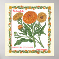 Dans Le Jardin ~ Affiche Calendula