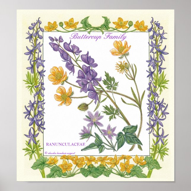 Dans Le Jardin ~ Poster de la famille Buttercup (Devant)