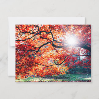 DANS LES COULEURS MAGIQUES DE LA CARTE POSTALE AUT