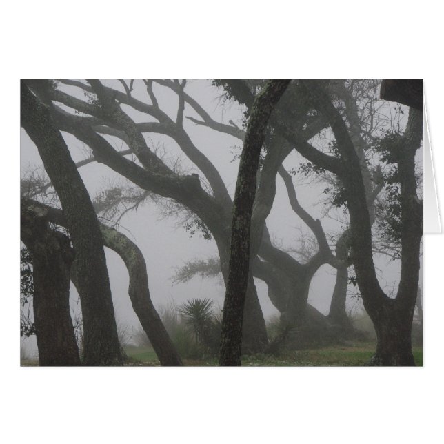 Dans un brouillard (Devant horizontal)