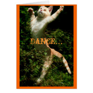 Danse comme personne ne regarde, Danse...