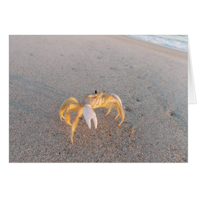 Danse de crabe de sable (Devant Horizontal)