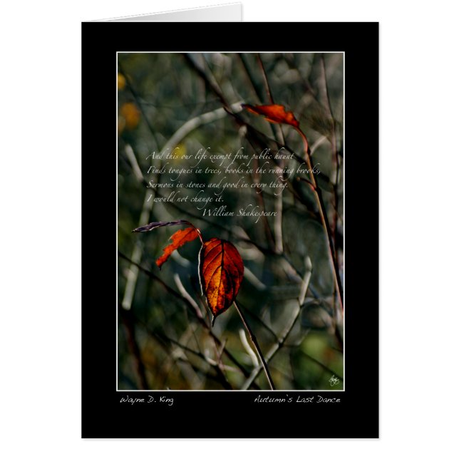 Danse Dernière avec Shakespeare (Devant)