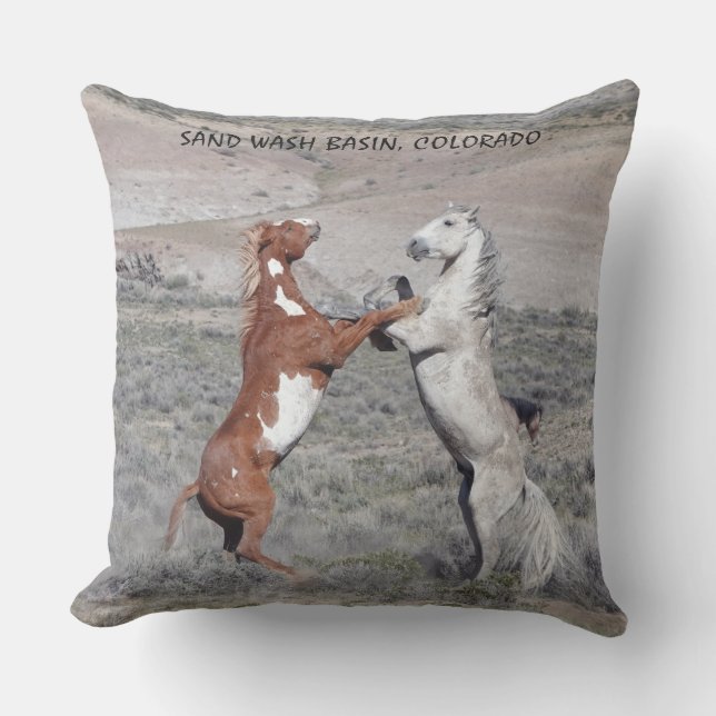 DANSE DES ÉTALONS COUSSIN DE PATIO (Recto)