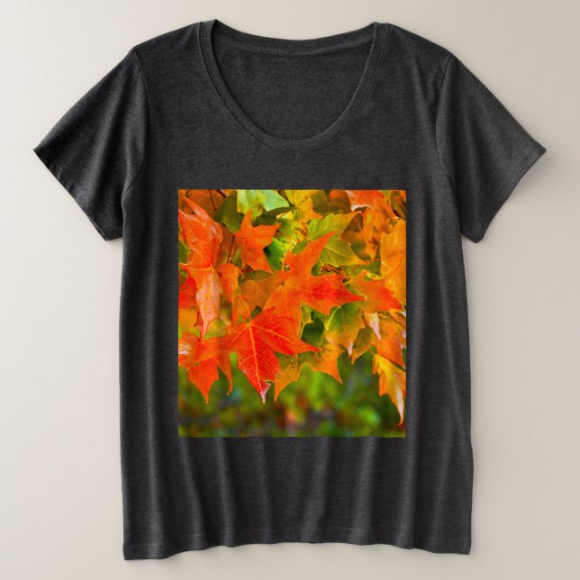 Danse Maple Leaf (Design devant)