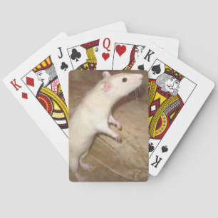 DANSER DES CARTES DE JEU RAT