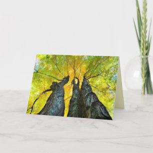 Danses Dames, Carte Automne, automne, arbre