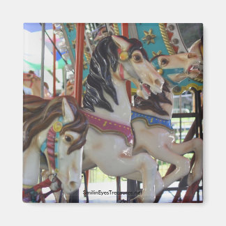 Danseurs silencieux Carousel Horse Magnet