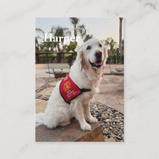 D'appel Carte de commerce de chien de thérapie pour les vi