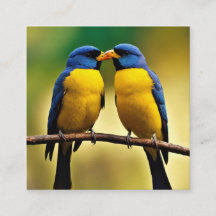 Carte de visite 🌹 🌹