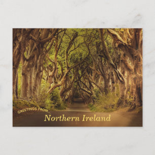 Dark Hedges Carte postale Irlande du Nord