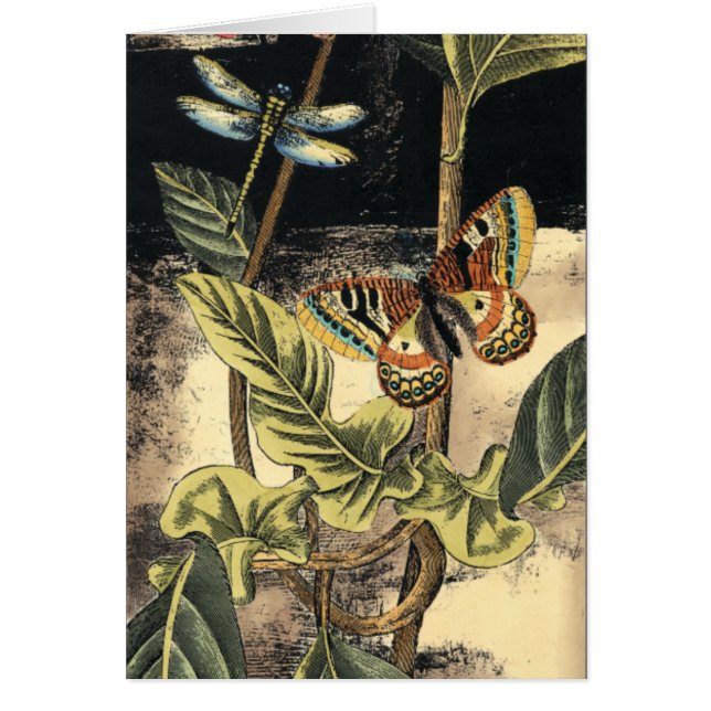 Dark Nature Scene par Vision Studio (Devant)