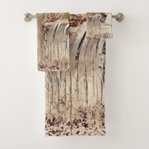 Date Palm Tree Trunk Texture Fermer Photo Image