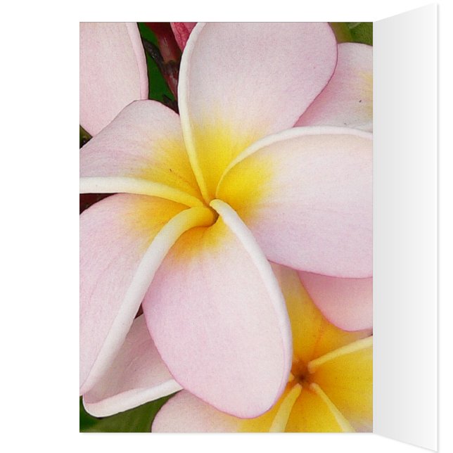 date romantique fleurs rsvp coloré chic (Intérieur (Gauche))