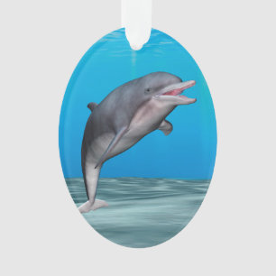 Dauphin mignon