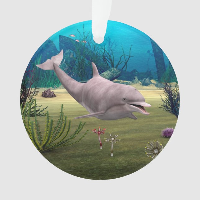 Dauphin souriant (devant)