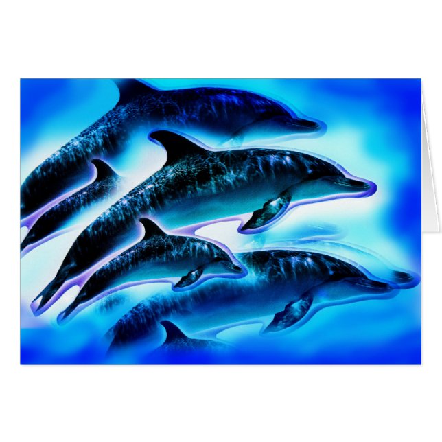 Dauphins (Devant horizontal)