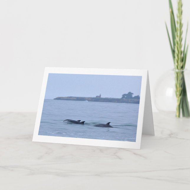Dauphins à la carte de voeux Phare-Vide (Devant)