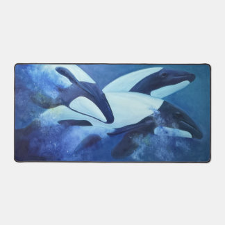 Dauphins de Commerson