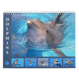 Dauphins de verdure calendrier 12 mois