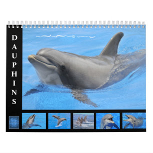 Dauphins de verdure calendrier 12 mois