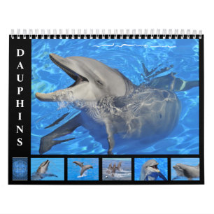 Dauphins de verdure calendrier 12 mois