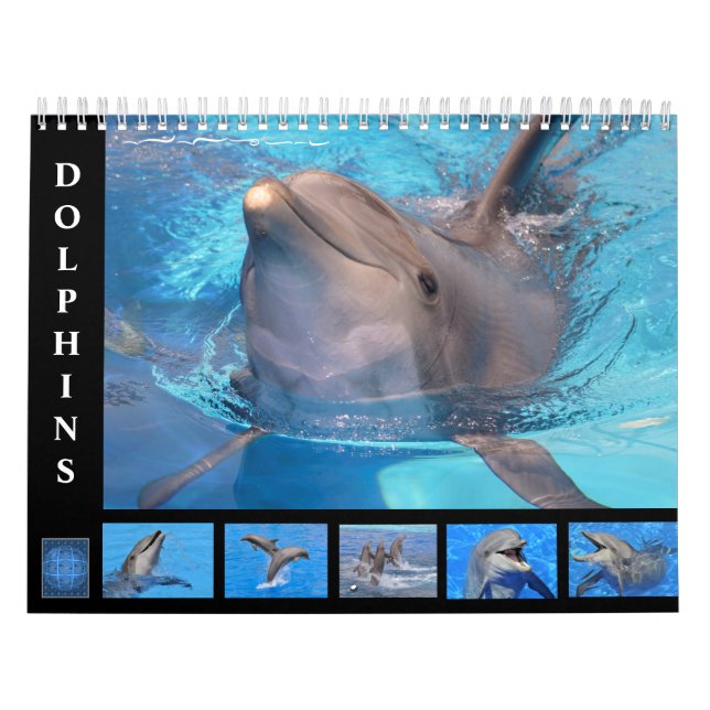 Dauphins de verdure calendrier 12 mois (Protection)