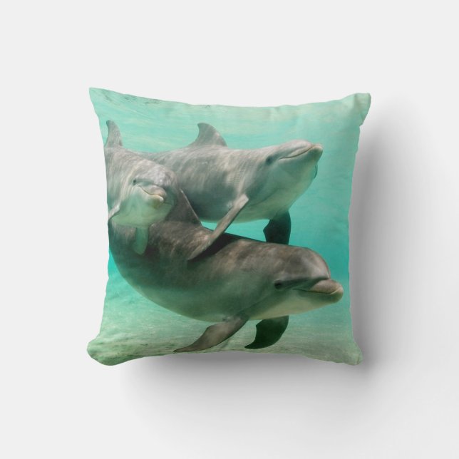 DAUPHINS NAGEANT LE COUSSIN DE COUSSIN (Recto)