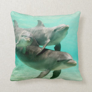 DAUPHINS NAGEANT LE COUSSIN DE COUSSIN