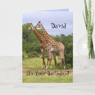 David "Go Wild" Bonne Carte Giraffes Anniversaire